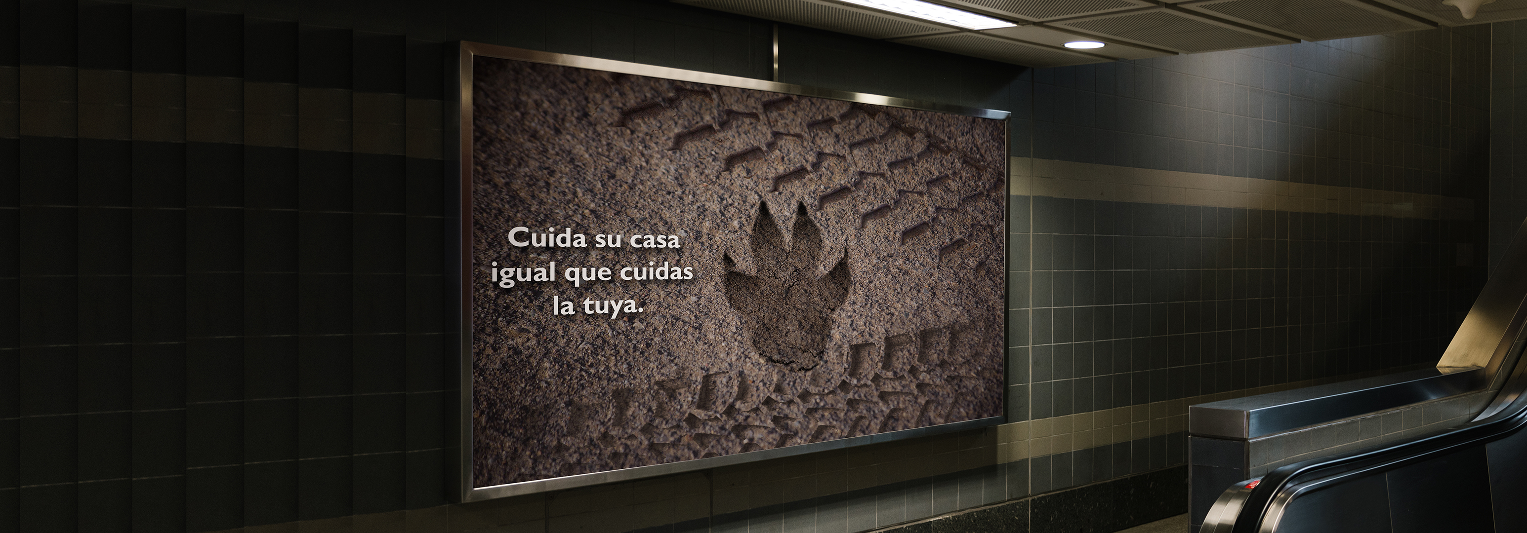 Segundo mockup de cartel de concienciación social sobre animales